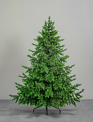 Ель Новгородская