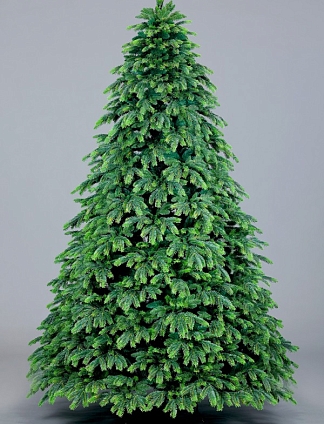 Ель Таёжная