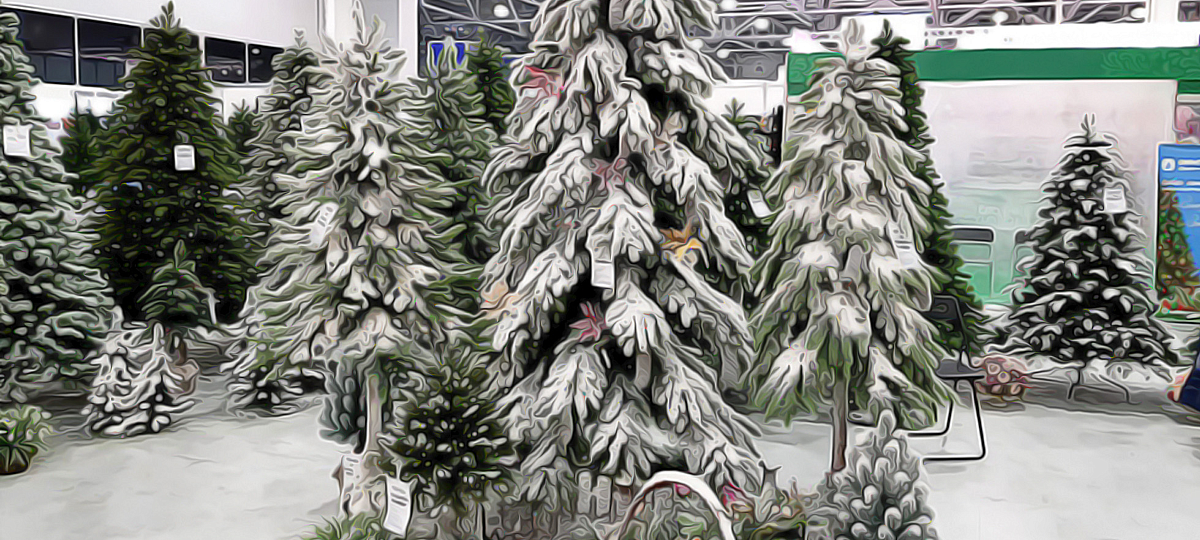 БЕСПРОЦЕНТНАЯ РАССРОЧКА ОТ МАГАЗИНА