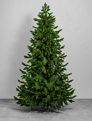 Ель Императрица 2