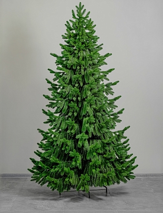 Ель Императрица 5