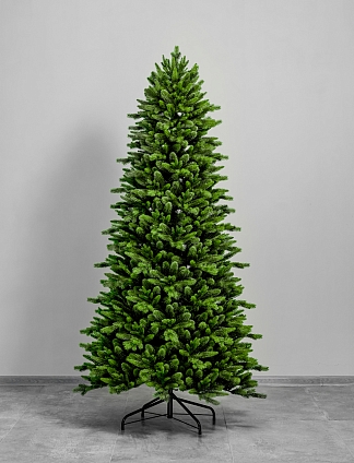 Ель Карпатская 6