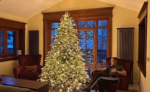 Какие ели по размеру и декору лучше подбирать для помещений?