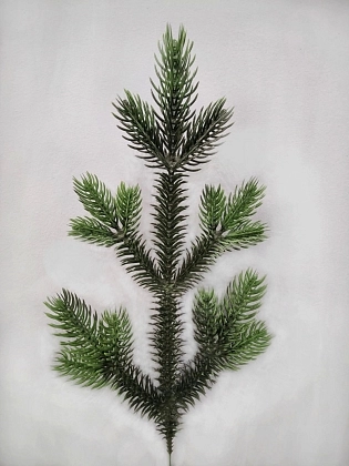 12-112